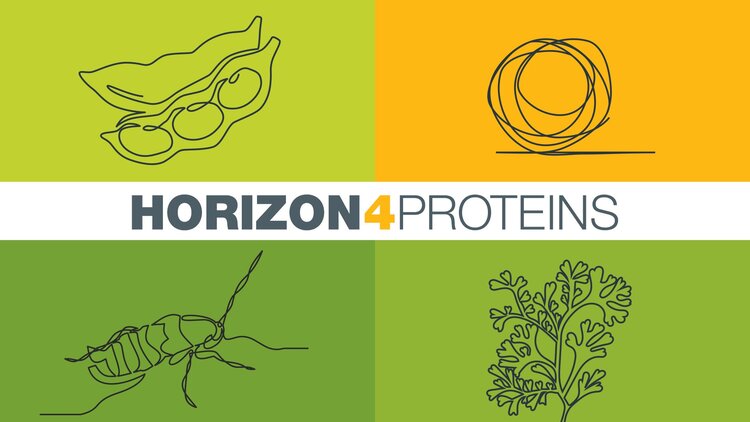 GIANT LEAPS joins the Horizon4Proteins Cluster