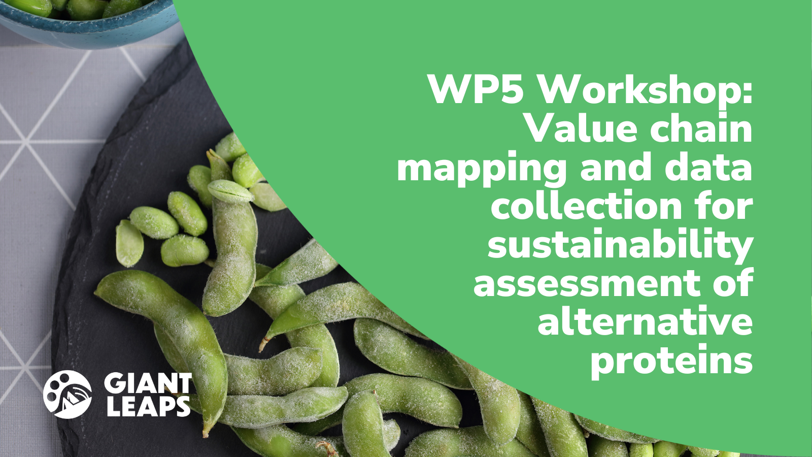 WP5 Workshop: Value chain mapping and data collection for sustainability assessment of alternative proteins