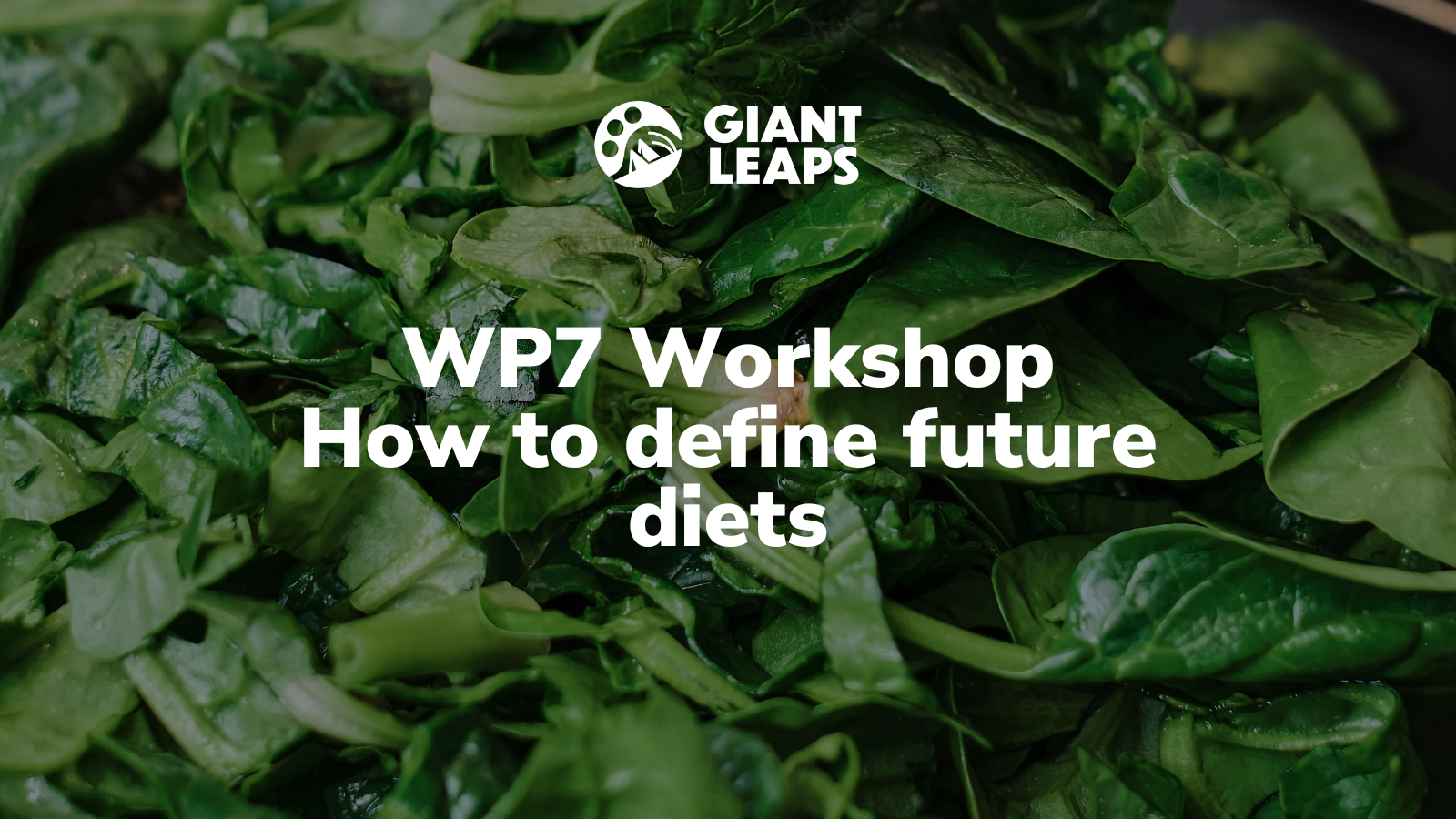WP7 Workshop: How to define future diets