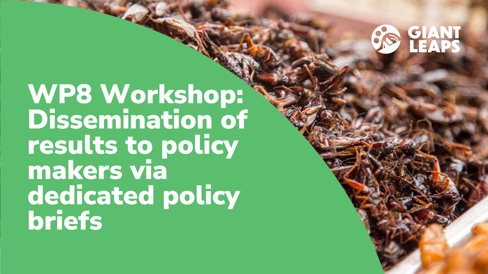 WP8.3 Workshop: Dissemination of results to policy makers via dedicated policy briefs