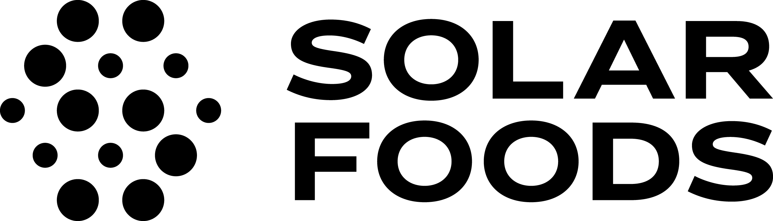 SOLAR FOODS